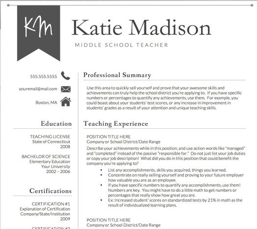 Teacher Resume Sample Template 2