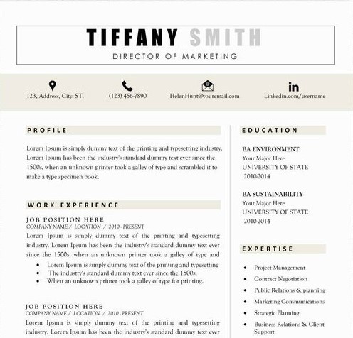 Teacher Resume Sample Template 3