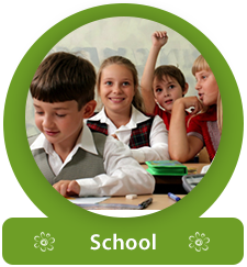 school management software