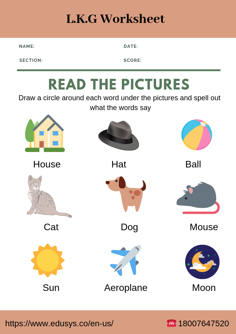 Worksheet For Kg English